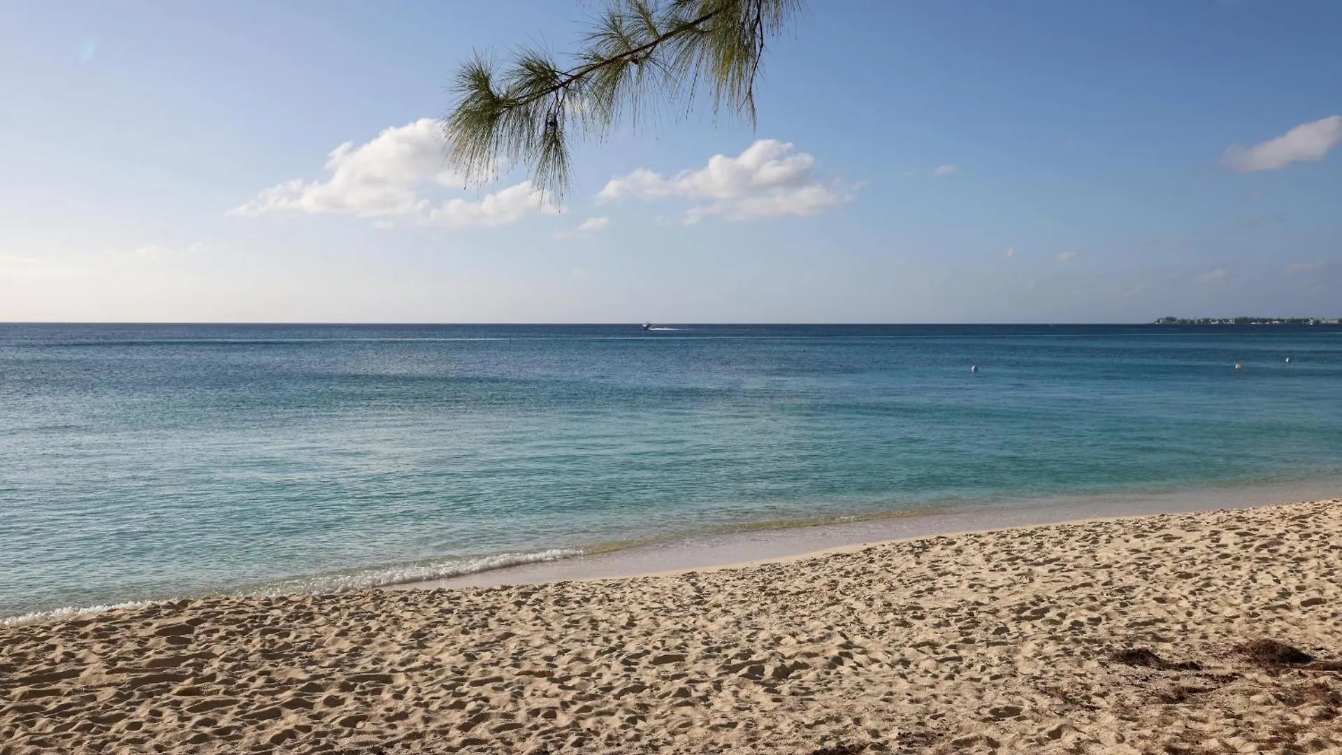 #14 Villa Tropical Greens Seven Mile Beach Apartment